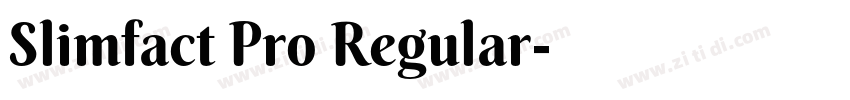 Slimfact Pro Regular字体转换